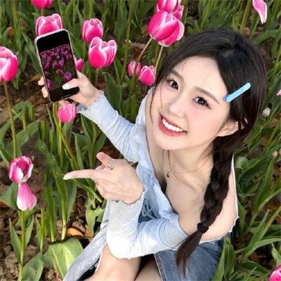 鸡密真相