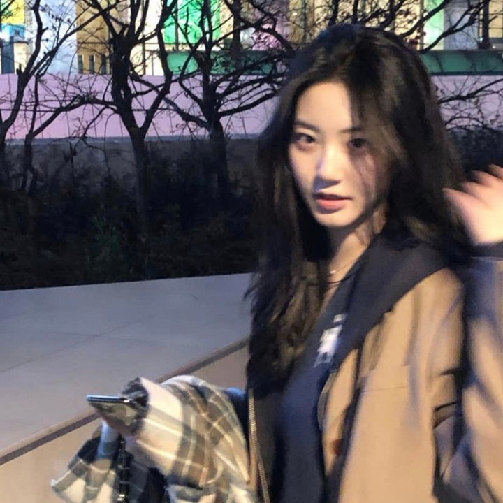 我的老婆是只猫